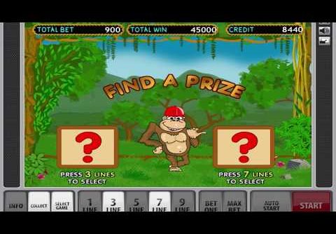 Biggest Win On The Crazy Monkey Slot Machine – Bonus Game
