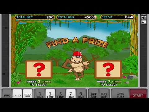 Biggest Win On The Crazy Monkey Slot Machine – Bonus Game