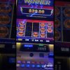Slot machine big win #slots