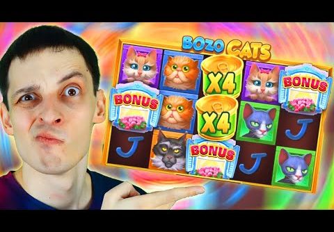 MEGA BIG WIN €20 BET 🔥 BOZO CATS ALL FEATURES UNLOCKED