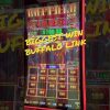 Biggest Win Buffalo Link slot machine