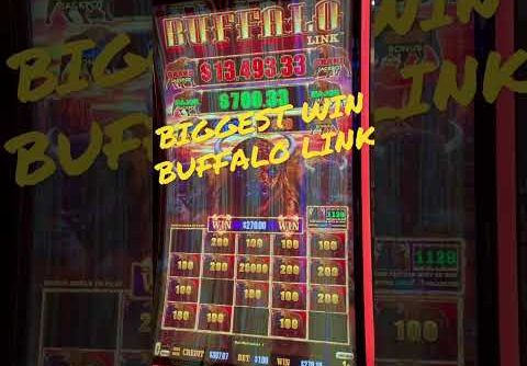 Biggest Win Buffalo Link slot machine