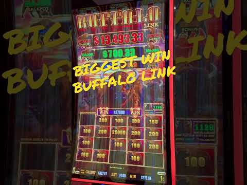 Biggest Win Buffalo Link slot machine