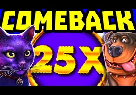 MADAME DESTINY MEGAWAYS 🔥 SLOT MAX MULTIPLIER 😱 MEGA BIG WINS & THE DOG HOUSE MEGAWAYS 🐶 OMG‼️