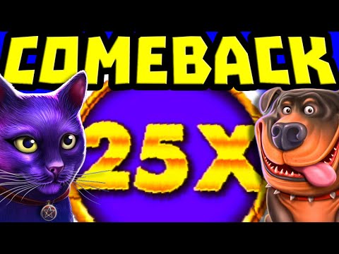 MADAME DESTINY MEGAWAYS 🔥 SLOT MAX MULTIPLIER 😱 MEGA BIG WINS & THE DOG HOUSE MEGAWAYS 🐶 OMG‼️