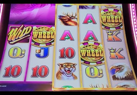 Wild Wild Buffalo Slot Big Win!! Aristocrat