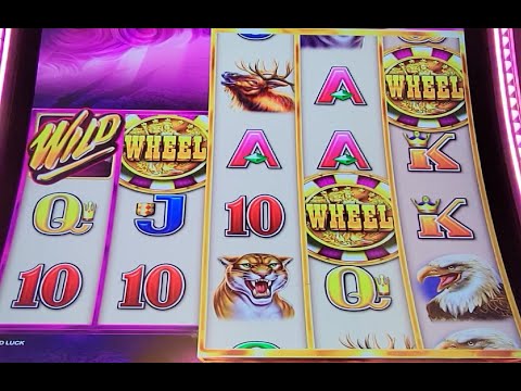 Wild Wild Buffalo Slot Big Win!! Aristocrat