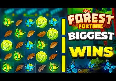 OUR MOST INSANE BIGGEST WINS EVER ON FOREST FORTUNE SLOT!!