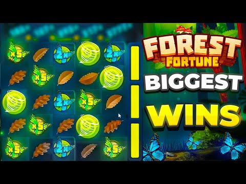 OUR MOST INSANE BIGGEST WINS EVER ON FOREST FORTUNE SLOT!!