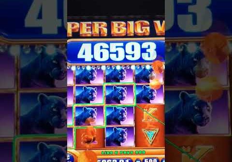 Unbelievable Super Big Win WMS Music and Jackpot #jackpot #maxbet