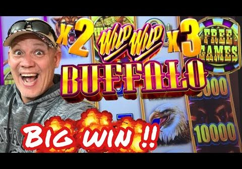 NEW SLOT 💥 BIG WIN featuring WILD WILD BUFFALO Slot Machine