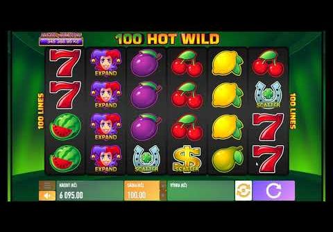 SLOT | 100 HOT WILD | BIG WIN 🤩🤩🤩 #83