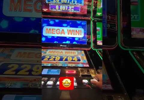 ☄️EGT Slot SHINING CROWN Mega Win ☄️ High Bet Mega Real Win by @CRAZYSLOT #lasvegas #like #viral