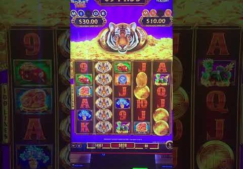 Big Win Fu Dai Lian Lian Slot Machine #slotmachine #slots #slotmachines #bigwin #hugewin #newslots