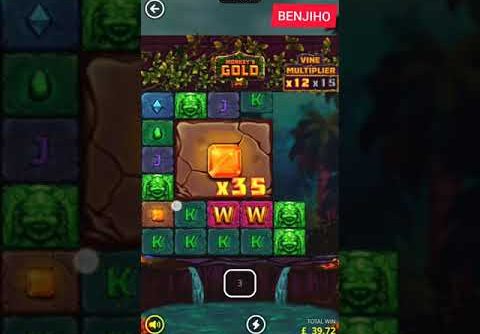 Monkey Gold Super Big Win 2.058 X