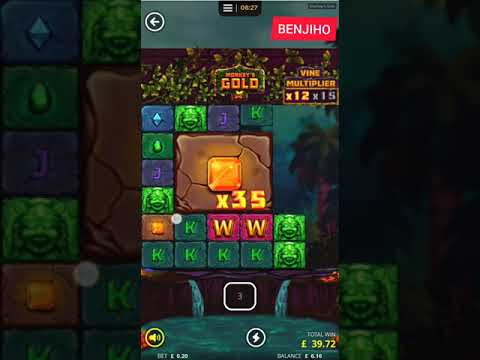 Monkey Gold Super Big Win 2.058 X