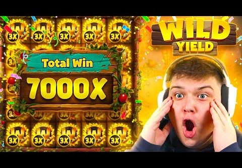 WILD YIELD RECORD 7000X WIN On STAKE?!.. (STREAM HIGHLIGHTS)