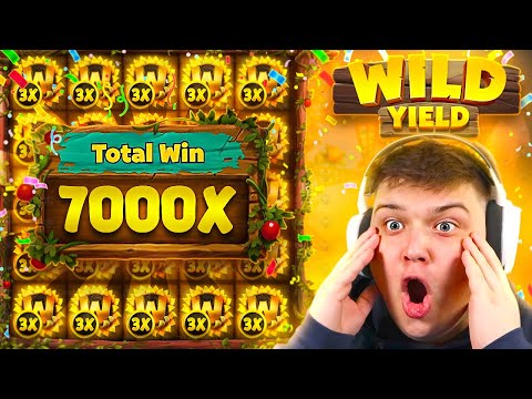 WILD YIELD RECORD 7000X WIN On STAKE?!.. (STREAM HIGHLIGHTS)