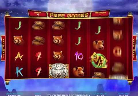 Mega Win 5000$ in Bonus Game on Tiger Claw Slot Machine from Playtech