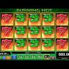 Burning Hot 5 Line Big Win EGT Slots 3 Wild #EGT #SLOT