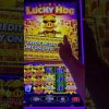 BIG WINS On Lucky Hog Slot #shorts