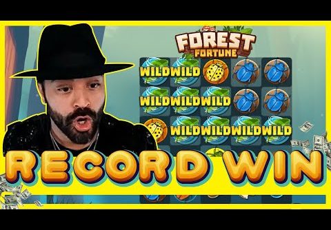 ROSHTEIN RECORD WIN ON FOREST FORTUNE!! NEW SLOT