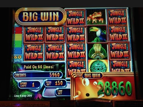 Jungle Wild II – WMS – BIG WIN! Money Burst Slot Machine Bonus