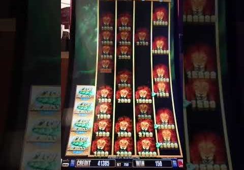 Big Win On SAVANNA LION SLOT MACHINE #$7.5/bet