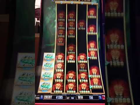 Big Win On SAVANNA LION SLOT MACHINE #$7.5/bet