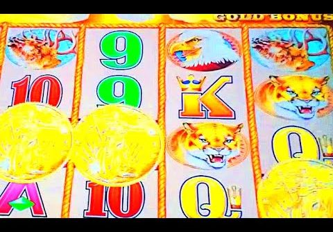 BUFFALO GOLD COLLECTION 1c SLOT * NICE TRIPLE BONUS RUN, BIG WIN!