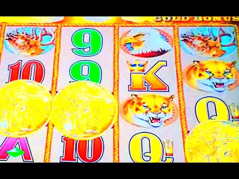 BUFFALO GOLD COLLECTION 1c SLOT * NICE TRIPLE BONUS RUN, BIG WIN!