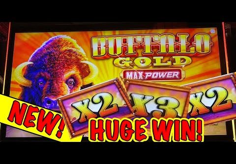 This game has INSANE potential   Buffalo Gold Max Power HUGE WIN!