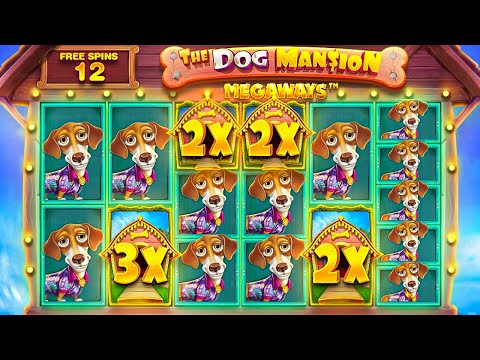 INSANE DOGS CONNECTION On NEW DOG HOUSE SLOT!! (4 SCATTER BONUS)