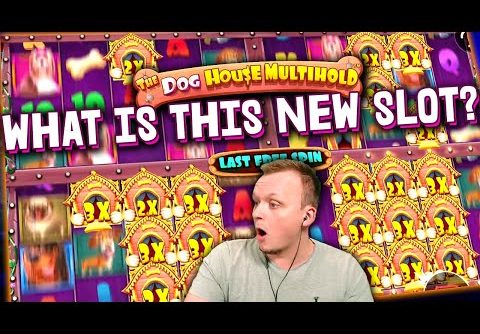 DOG HOUSE MULTIHOLD Mega Big Win on NEW Slot!