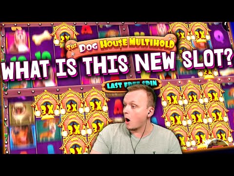 DOG HOUSE MULTIHOLD Mega Big Win on NEW Slot!