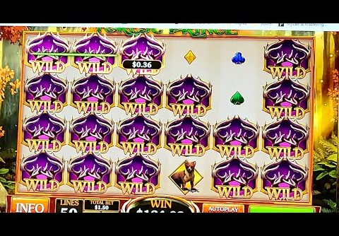 CASINO BET365 – SUPER BIG WIN