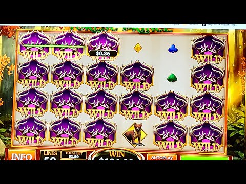 CASINO BET365 – SUPER BIG WIN