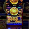 OMG! She Got a Big Win on This Dragon Link Slot Machine 🎰 #casino  #slotgame #money