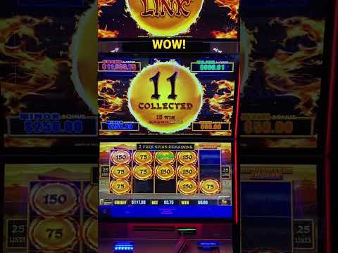 OMG! She Got a Big Win on This Dragon Link Slot Machine 🎰 #casino  #slotgame #money