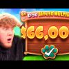 RECORD WIN ON NEW DOG HOUSE SLOT…
