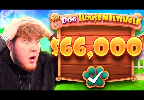 RECORD WIN ON NEW DOG HOUSE SLOT…