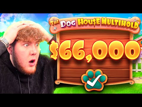 RECORD WIN ON NEW DOG HOUSE SLOT…