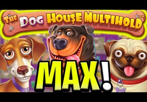 THE NEW DOG HOUSE MULTIHOLD 😵 MAX BET MEGA BIG WINS 🔥 OMG THIS IS SO GOOD‼️
