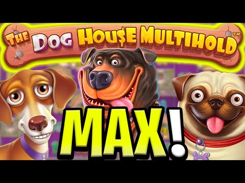 THE NEW DOG HOUSE MULTIHOLD 😵 MAX BET MEGA BIG WINS 🔥 OMG THIS IS SO GOOD‼️