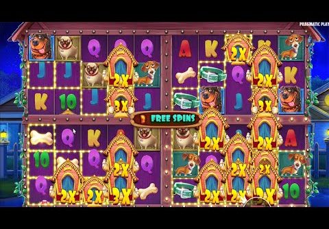 THE DOG HOUSE MULTIHOLD – BRAND NEW SLOT – BIG WIN HIT BIG MULTIPLIER CASINO SLOT