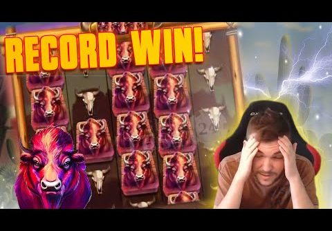 🐂 BUFFALO STACK ‘N’ SYNC 🐂 RECORD WIN! 🐂 INSANE BONUS BUY! 🐂