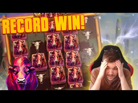 🐂 BUFFALO STACK ‘N’ SYNC 🐂 RECORD WIN! 🐂 INSANE BONUS BUY! 🐂