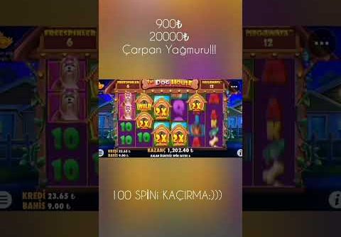 Dog House Megaways ~Çarpan Kulübeleri Big Wini Getirdi!!!#bigwin #doghouse #slot #doghousemegaways