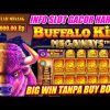 Live Slot Buffalo King Megaways Big Win Modal Kecil Jackpot 3 Juta !