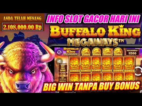 Live Slot Buffalo King Megaways Big Win Modal Kecil Jackpot 3 Juta !